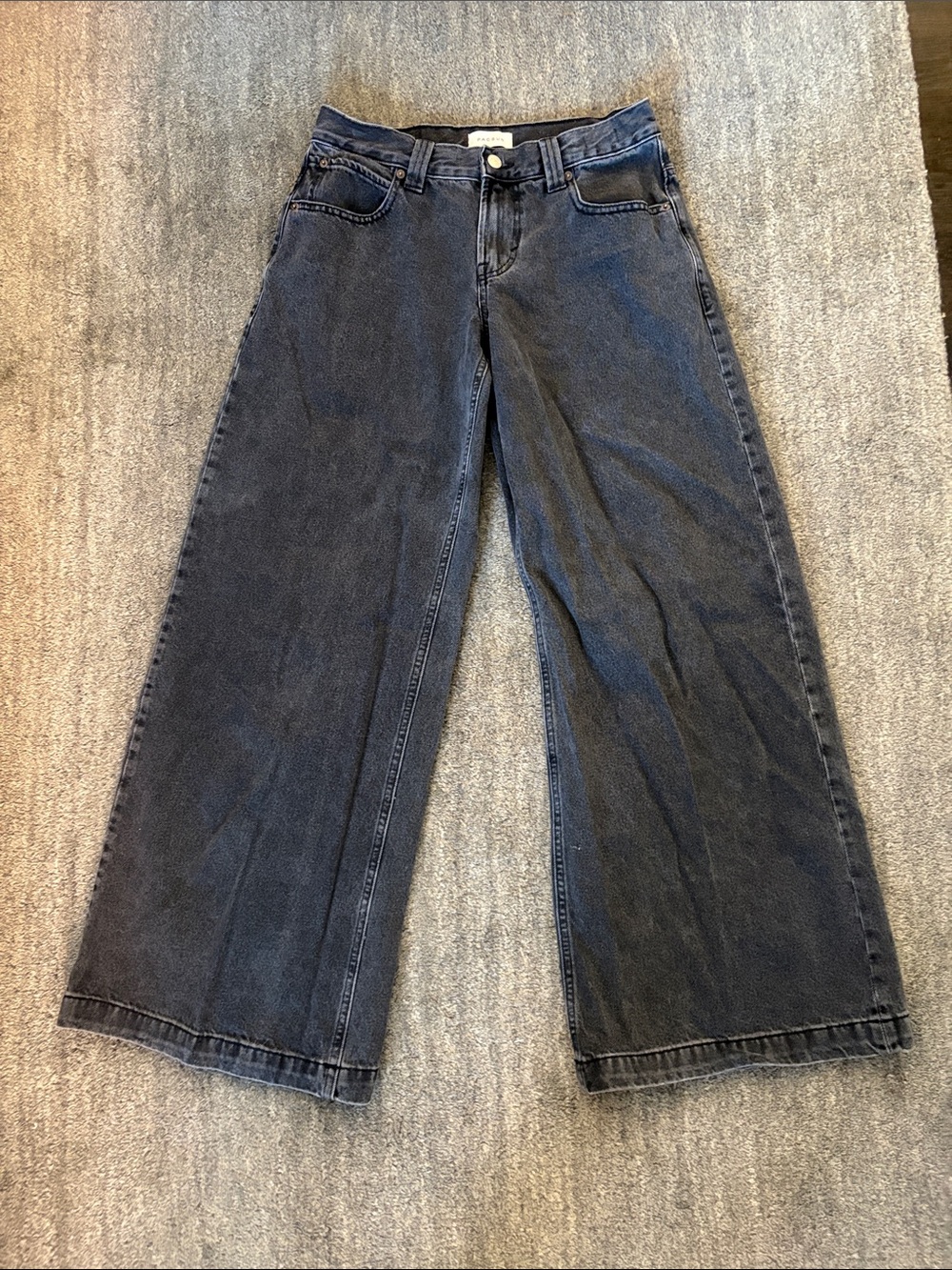 PacSun Sloane Ultra Baggy Jean